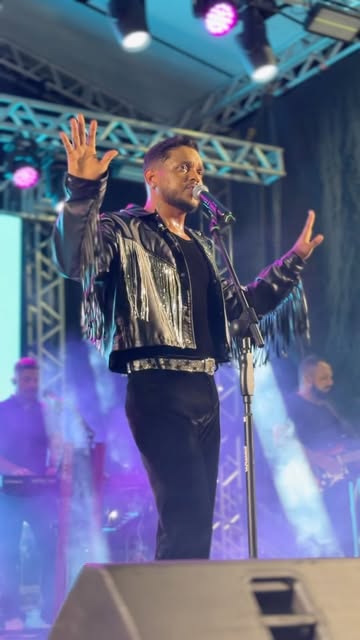 Artista em palco com estrutura de som e luz